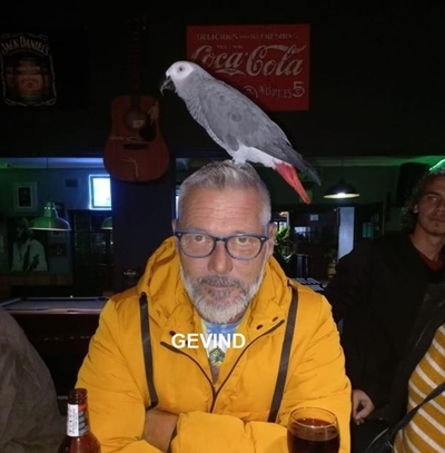 Gesoek