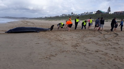 Strand steeds gesluit