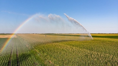 'Race quotas for water use licences would be fatal' 
