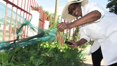 Growing veggies and growing hope