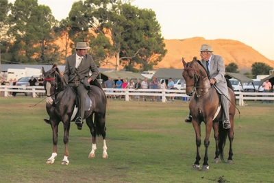 Perdry bind oupa en kleinseun saam