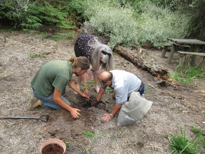 Boomplanting eer bekende