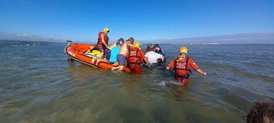 Rare sighting in Plett lagoon
