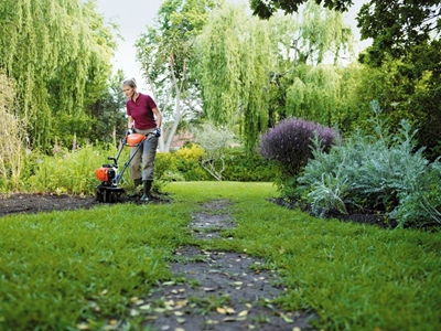 Spring your garden back to life