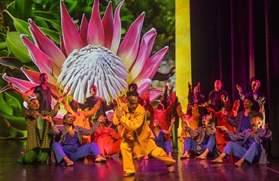 'Diverse People Unite' a dance celebration of democracy
