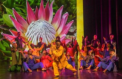 'Diverse People Unite' a dance celebration of democracy