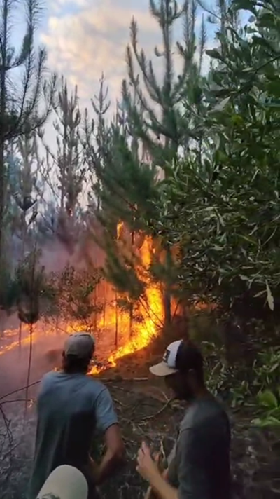 Brand in Ruiterbos vlam weer op