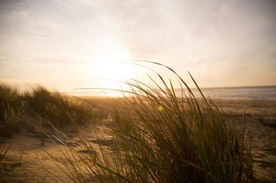 Strong winds and high fire danger warning for Western Cape