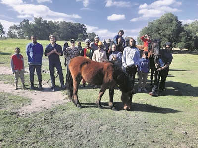 Horse care programme continues in Pacaltsdorp