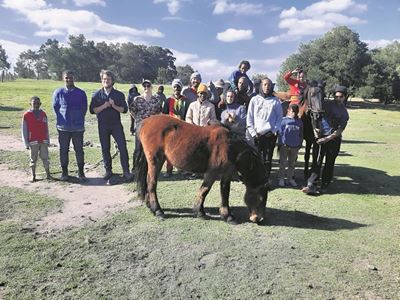 Horse care programme continues in Pacaltsdorp