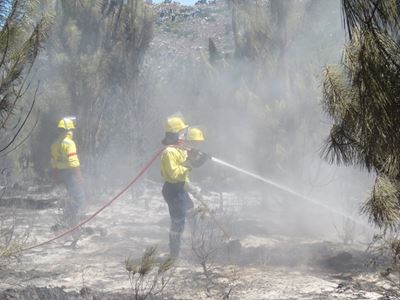 Vermaaklikheid brand weer