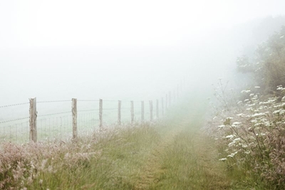 Weather: Morning fog with clouds in places