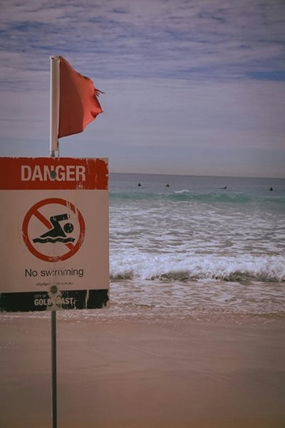 Great white spotted at Central Beach
