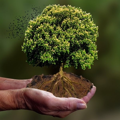 SA to mark World Environment Day
