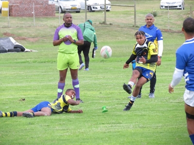 Seagulls mors met Collegians