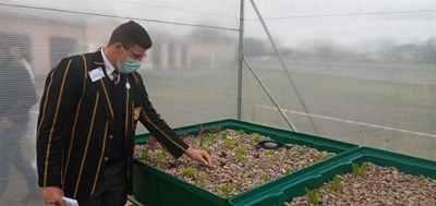 Kwaggas het groot landbouplanne
