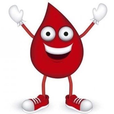 Your turn to donate blood in Knysna