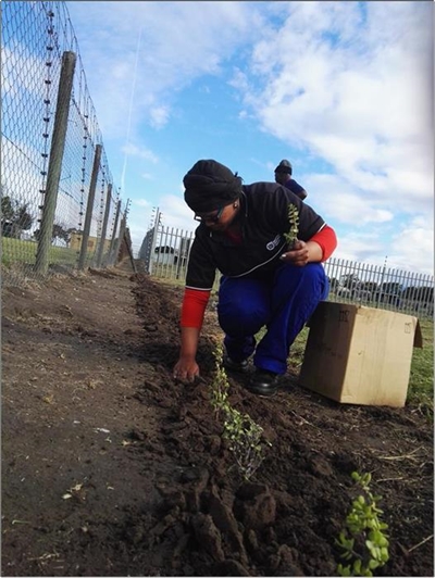 Mandela Day at the SPCA