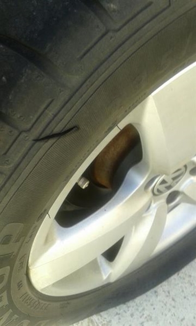 Burgemeester se motors gevandaliseer
