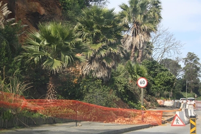 N2 slope urgently reviewed