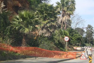 N2 slope urgently reviewed