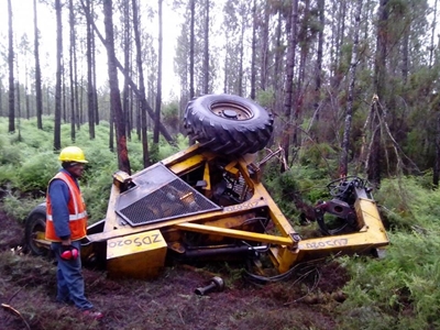 Knysna elephant tackles metal monster