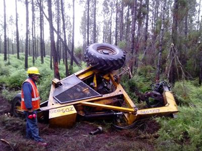 Knysna elephant tackles metal monster