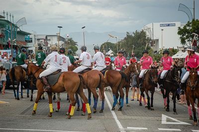 Even if horses aren't your thing…