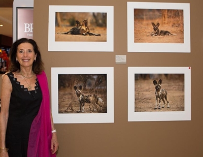 Photographer explores lives of wild dogs through art
