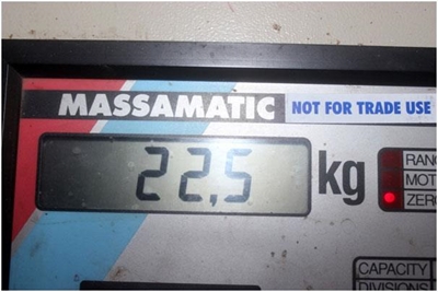 Dagga trek skaal op 22,5 kg