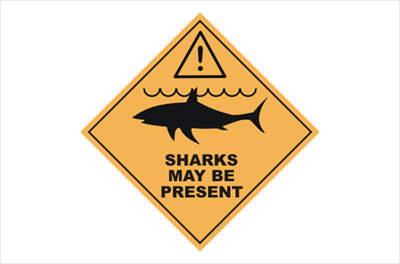 Sharks doing the beach rounds