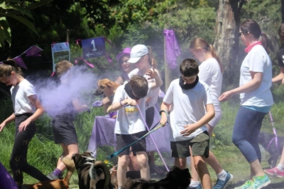 Colour fun for pets at Odin