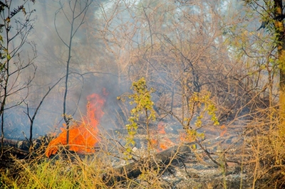 Control burn today