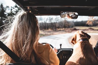 Prepare for your holiday road trip with some fast and fun facts 