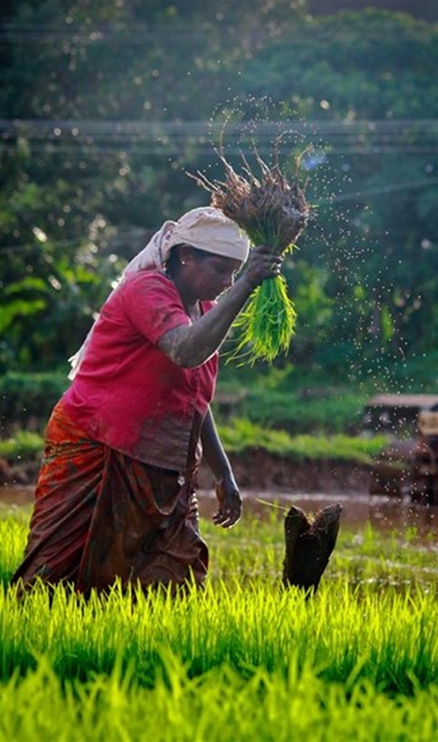 Training farmers is crucial