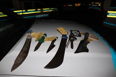 253 arrested across Garden Route