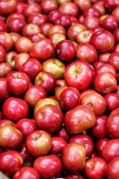 Commission investigates Elgin Fruit Juice for supply of unsafe goods