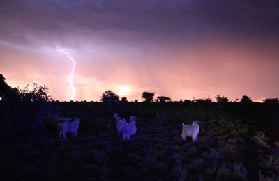 Farm worker struck dead by lightning