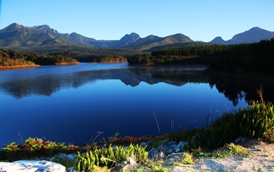 Latest: Garden Route Dam level