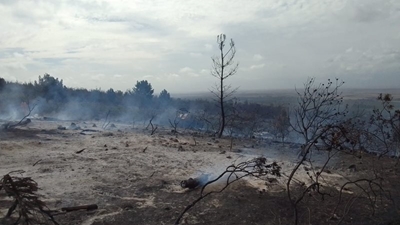 Veldbrand by Albertinia