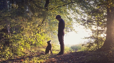 Now dogs can eat as well as their foodie owners 