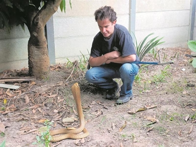 Snake season strikes: Stay safe in the Garden Route