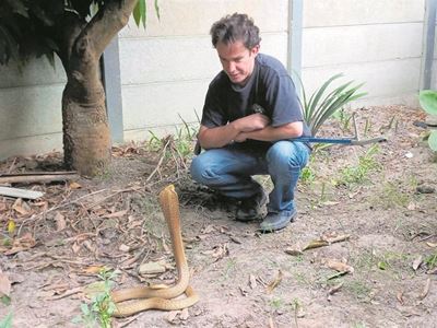 Snake season strikes: Stay safe in the Garden Route