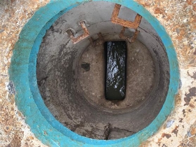 Dog disappears into manhole during parkrun