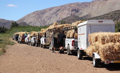 Wen safari en olifantervaring in die hartjie van die Klein-Karoo