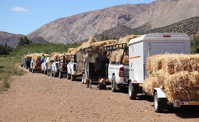 Wen safari en olifantervaring in die hartjie van die Klein-Karoo