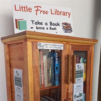 Little Free Library spreads the joy of books