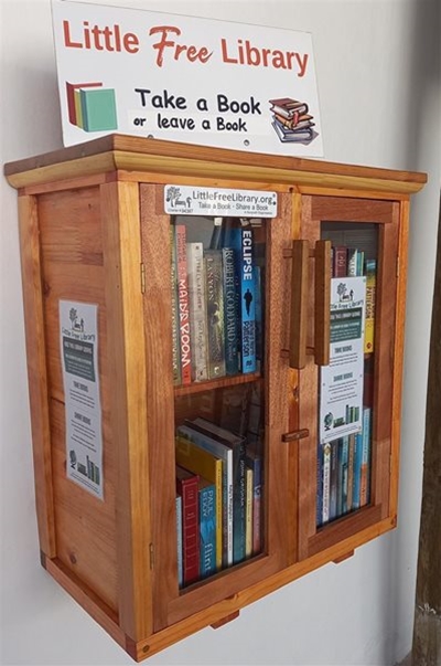 Little Free Library spreads the joy of books
