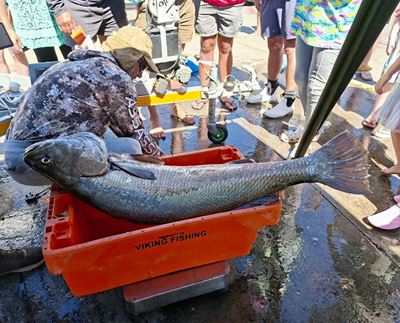 Kabeljou-derby lok vele hengelaars na Mosselbaai