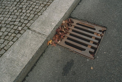 FOCUS ON: Don’t drop it down the drain
